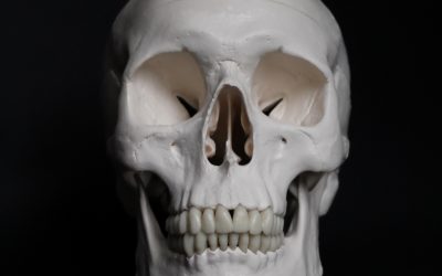 5 cose sul cranio che non conoscevi